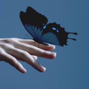 +19 Photos &amp; Videos